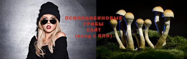 PSILOCYBIN Алексин
