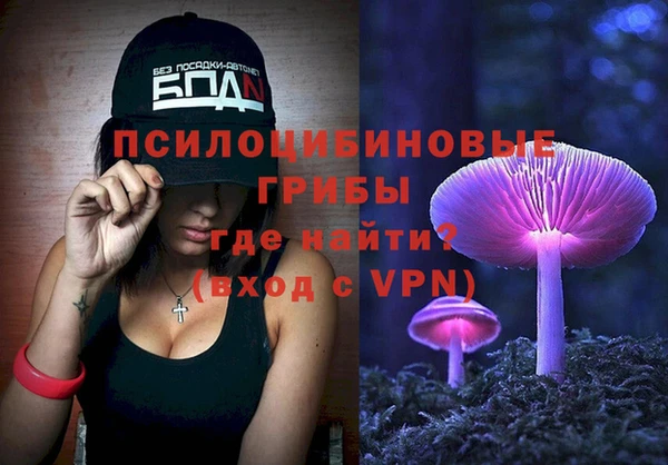 соль ск Алзамай