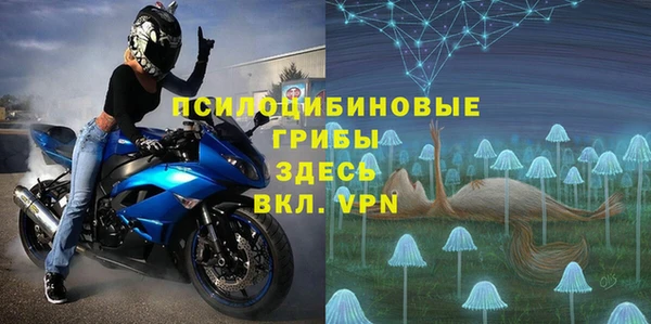 соль ск Алзамай
