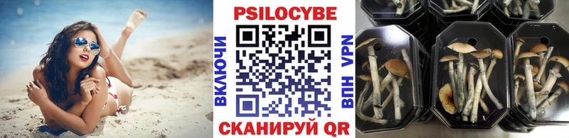 Галлюциногенные грибы Cubensis  Ардон 